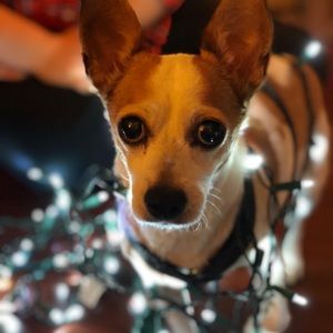 Meet your Posher, Byron